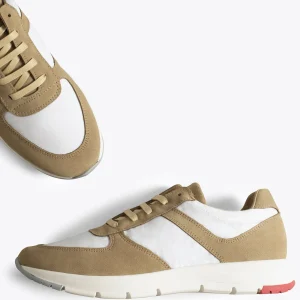 Zapato<miMaO Berlin Deportivas Para Hombre Casual Beige